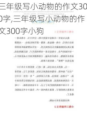 三年级写小动物的作文300字,三年级写小动物的作文300字小狗