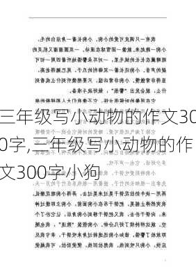 三年级写小动物的作文300字,三年级写小动物的作文300字小狗