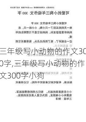 三年级写小动物的作文300字,三年级写小动物的作文300字小狗