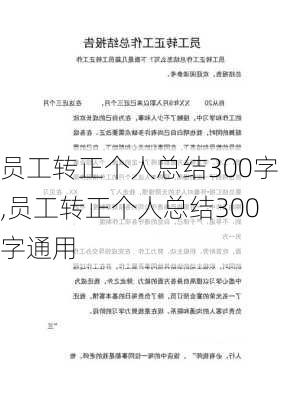 员工转正个人总结300字,员工转正个人总结300字通用