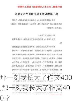 那一刻我长大了作文400,那一刻我长大了作文400字