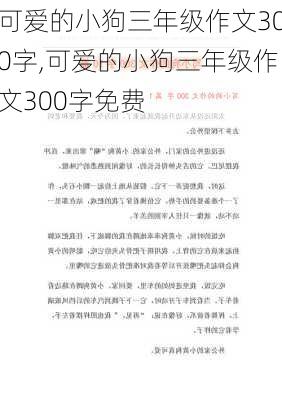 可爱的小狗三年级作文300字,可爱的小狗三年级作文300字免费