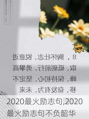 2020最火励志句,2020最火励志句不负韶华