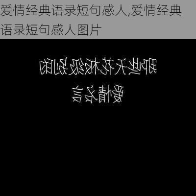 爱情经典语录短句感人,爱情经典语录短句感人图片