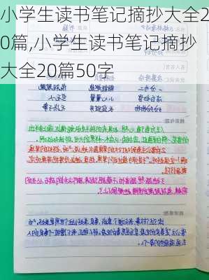 小学生读书笔记摘抄大全20篇,小学生读书笔记摘抄大全20篇50字