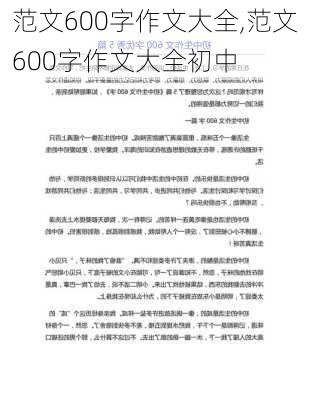 范文600字作文大全,范文600字作文大全初中