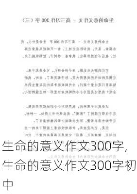 生命的意义作文300字,生命的意义作文300字初中