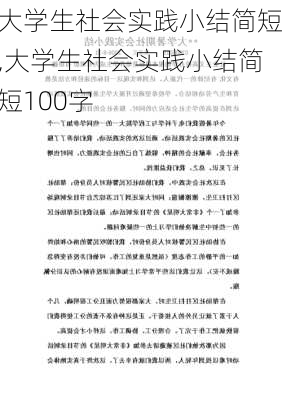 大学生社会实践小结简短,大学生社会实践小结简短100字