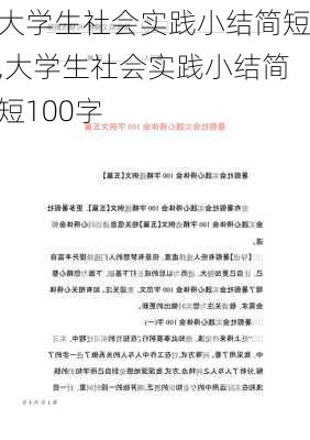 大学生社会实践小结简短,大学生社会实践小结简短100字