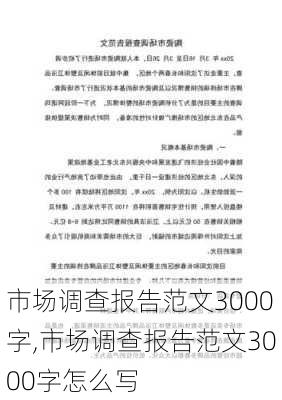 市场调查报告范文3000字,市场调查报告范文3000字怎么写