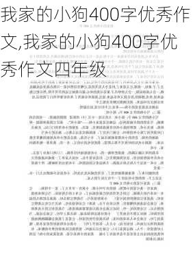 我家的小狗400字优秀作文,我家的小狗400字优秀作文四年级