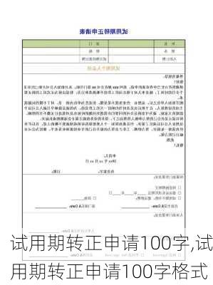 试用期转正申请100字,试用期转正申请100字格式