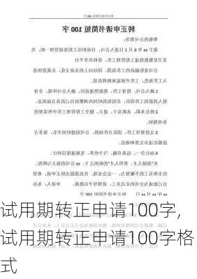 试用期转正申请100字,试用期转正申请100字格式