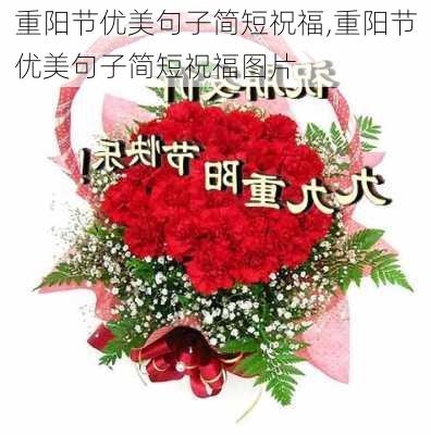 重阳节优美句子简短祝福,重阳节优美句子简短祝福图片