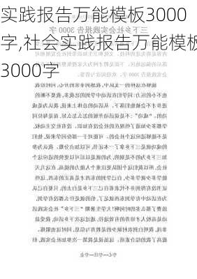 实践报告万能模板3000字,社会实践报告万能模板3000字