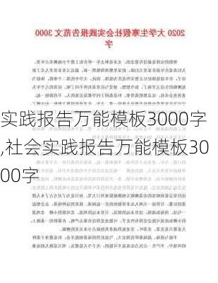 实践报告万能模板3000字,社会实践报告万能模板3000字