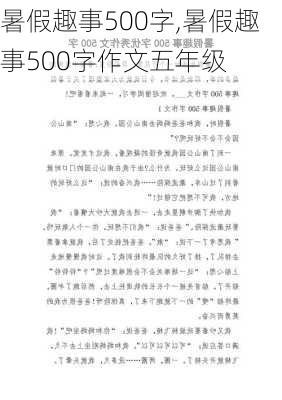 暑假趣事500字,暑假趣事500字作文五年级