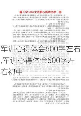 军训心得体会600字左右,军训心得体会600字左右初中