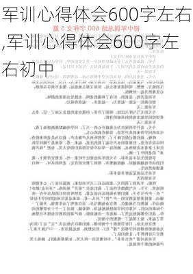 军训心得体会600字左右,军训心得体会600字左右初中