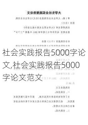 社会实践报告5000字论文,社会实践报告5000字论文范文