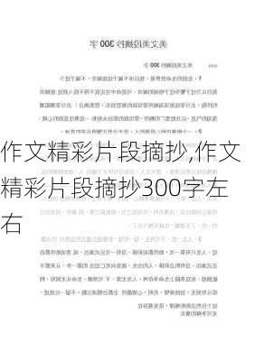 作文精彩片段摘抄,作文精彩片段摘抄300字左右