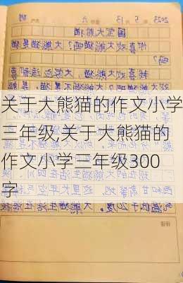 关于大熊猫的作文小学三年级,关于大熊猫的作文小学三年级300字