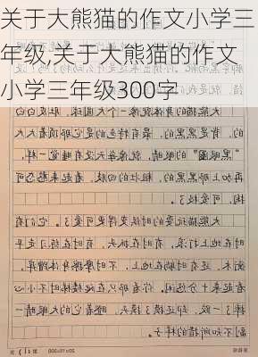 关于大熊猫的作文小学三年级,关于大熊猫的作文小学三年级300字