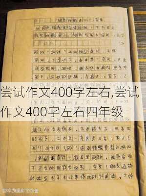 尝试作文400字左右,尝试作文400字左右四年级