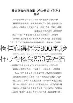 榜样心得体会800字,榜样心得体会800字左右