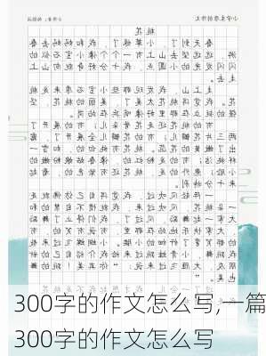 300字的作文怎么写,一篇300字的作文怎么写