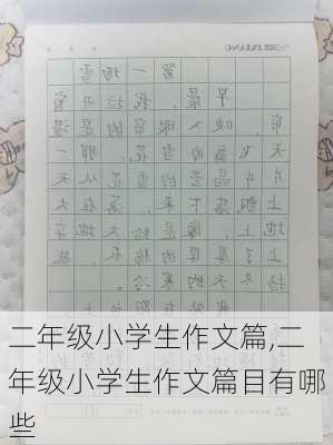 二年级小学生作文篇,二年级小学生作文篇目有哪些