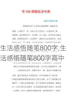 生活感悟随笔800字,生活感悟随笔800字高中