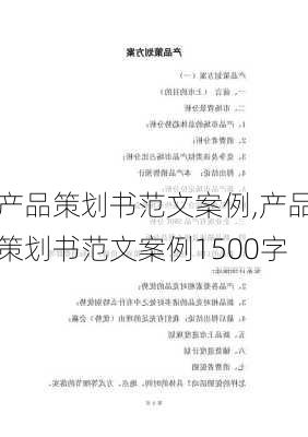 产品策划书范文案例,产品策划书范文案例1500字