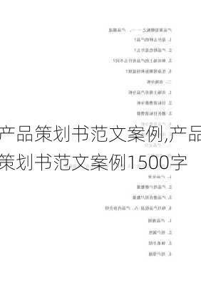 产品策划书范文案例,产品策划书范文案例1500字