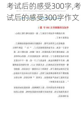 考试后的感受300字,考试后的感受300字作文