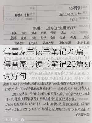 傅雷家书读书笔记20篇,傅雷家书读书笔记20篇好词好句