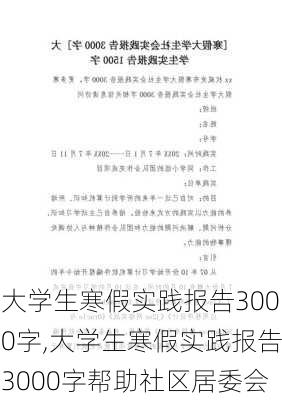 大学生寒假实践报告3000字,大学生寒假实践报告3000字帮助社区居委会