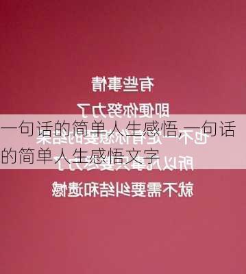 一句话的简单人生感悟,一句话的简单人生感悟文字