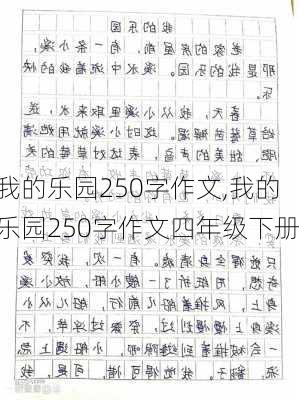 我的乐园250字作文,我的乐园250字作文四年级下册