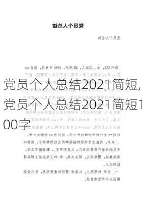 党员个人总结2021简短,党员个人总结2021简短100字