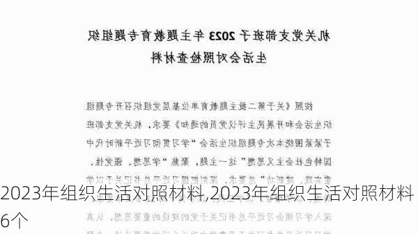 2023年组织生活对照材料,2023年组织生活对照材料6个