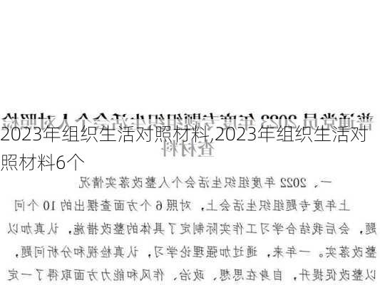 2023年组织生活对照材料,2023年组织生活对照材料6个