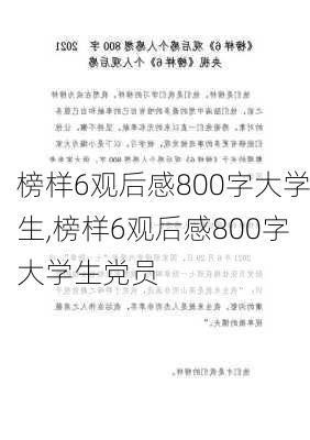 榜样6观后感800字大学生,榜样6观后感800字大学生党员