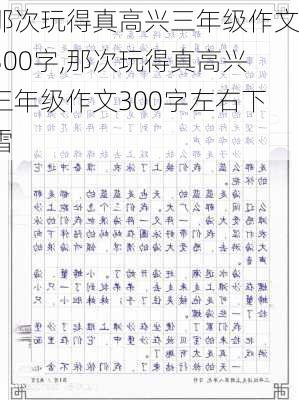 那次玩得真高兴三年级作文300字,那次玩得真高兴三年级作文300字左右下雪