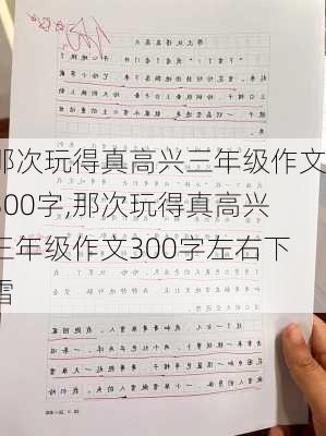 那次玩得真高兴三年级作文300字,那次玩得真高兴三年级作文300字左右下雪