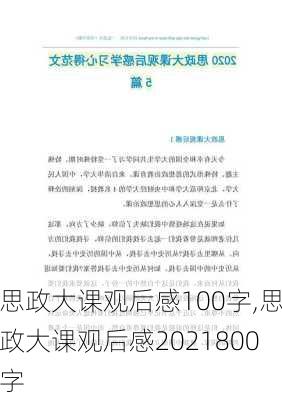 思政大课观后感100字,思政大课观后感2021800字