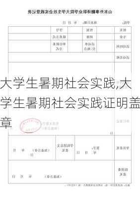 大学生暑期社会实践,大学生暑期社会实践证明盖章