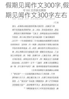 假期见闻作文300字,假期见闻作文300字左右