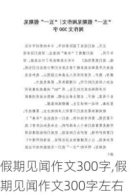 假期见闻作文300字,假期见闻作文300字左右