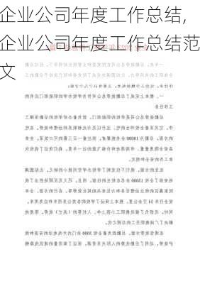 企业公司年度工作总结,企业公司年度工作总结范文